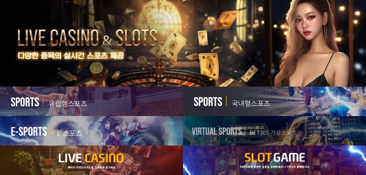 도라에몽 토토, 그 실체와 이용 전 반드시 알아야 할 정보
